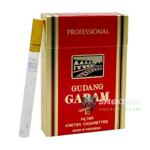 บุหรี่นอก Garam กาแรม Professional 16 (หวานร้อน)